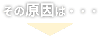その原因は・・・