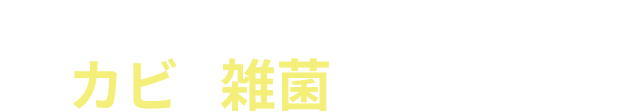 何年も洗っていない洗濯機の内部はカビや雑菌の温床です。